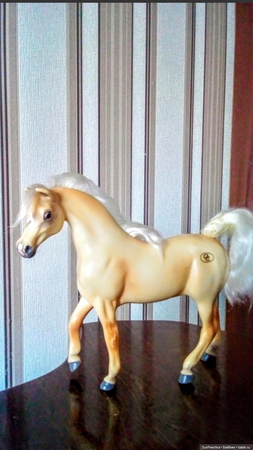 Мое сокровище, приобретённое на блошке. Арабская кобыла Sonador (фото 9)