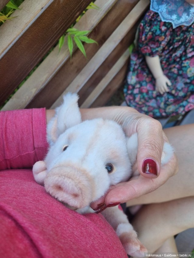 Привязались вы со своим поросенком