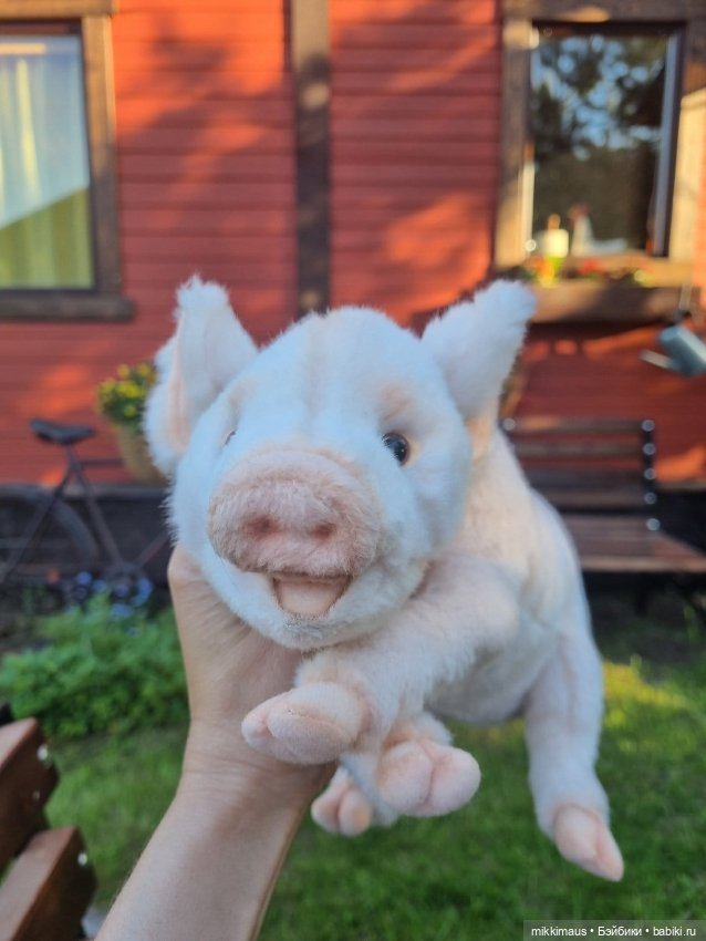 Привязались вы со своим поросенком