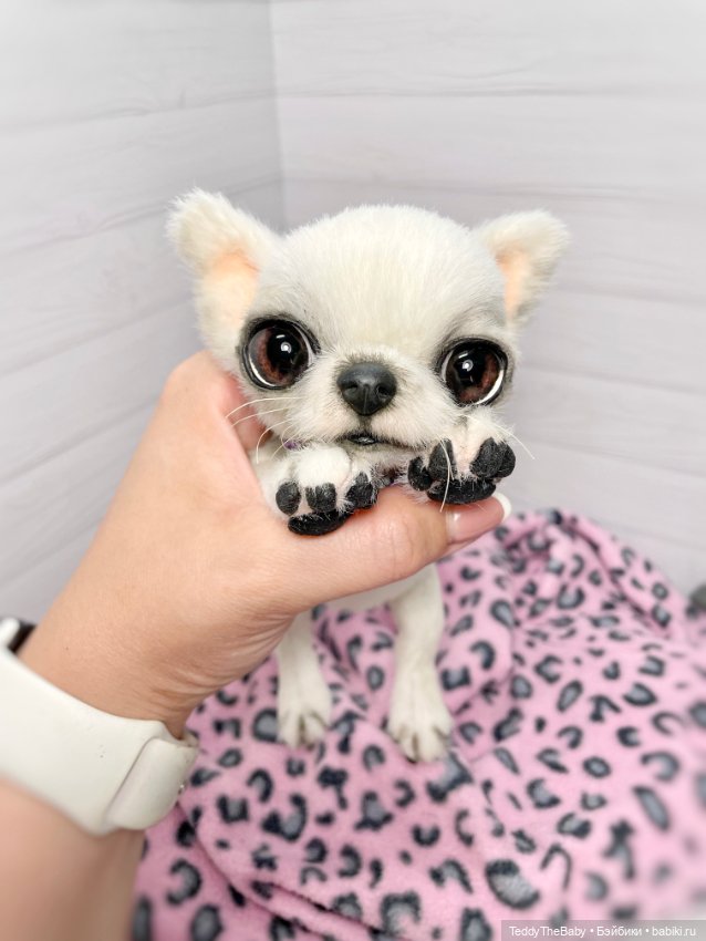 Снежа 🐾17 см щенок тедди — Реалистичные игрушки и звери (Натюр): собаки (фото 6)