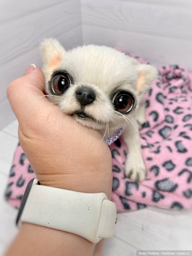 Снежа 🐾17 см щенок тедди — Реалистичные игрушки и звери (Натюр): собаки