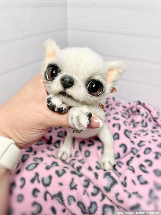 Снежа 🐾17 см щенок тедди — Реалистичные игрушки и звери (Натюр): собаки