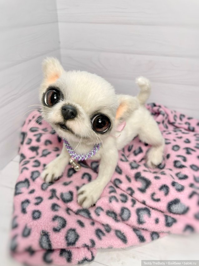 Снежа 🐾17 см щенок тедди — Реалистичные игрушки и звери (Натюр): собаки