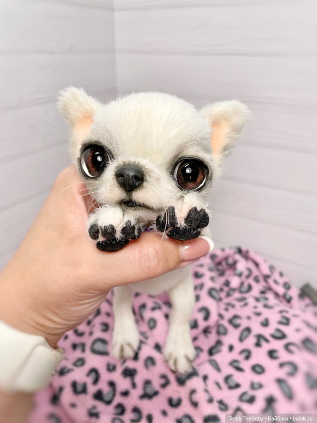 Снежа 🐾17 см щенок тедди — Реалистичные игрушки и звери (Натюр): собаки (фото 2)