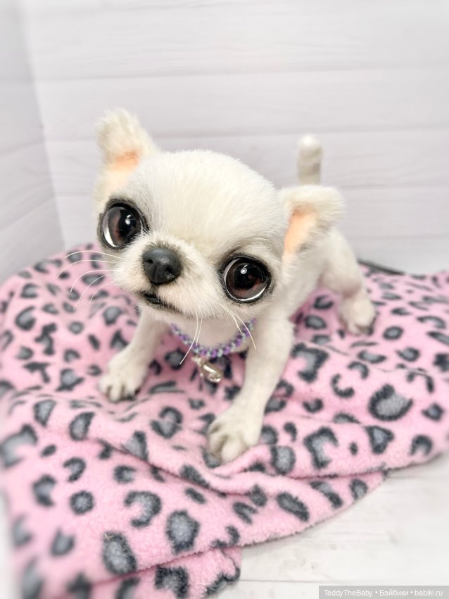 Снежа 🐾17 см щенок тедди — Реалистичные игрушки и звери (Натюр): собаки (фото 10)