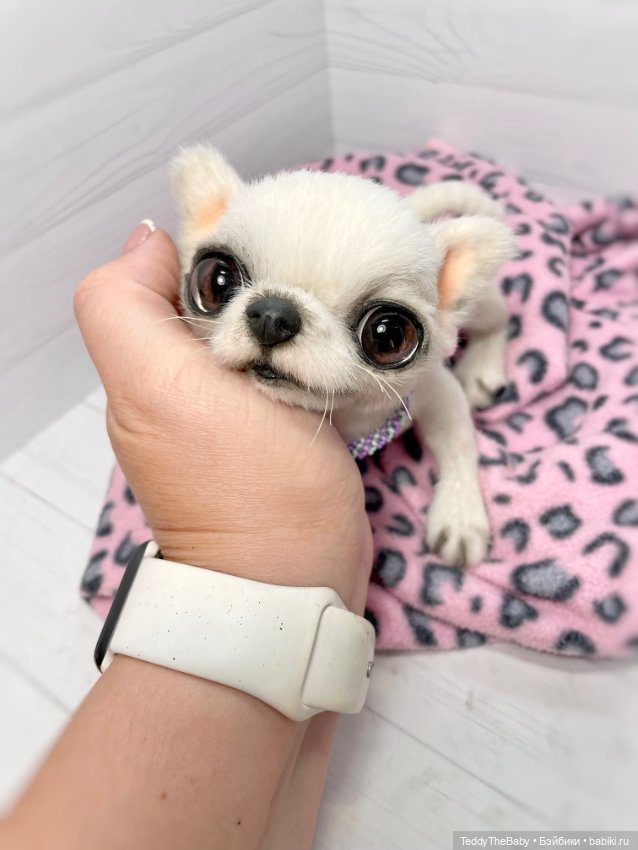 Снежа 🐾17 см щенок тедди — Реалистичные игрушки и звери (Натюр): собаки