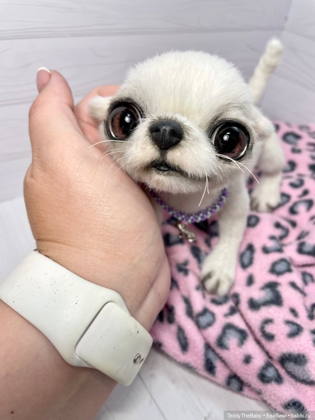 Снежа 🐾17 см щенок тедди — Реалистичные игрушки и звери (Натюр): собаки