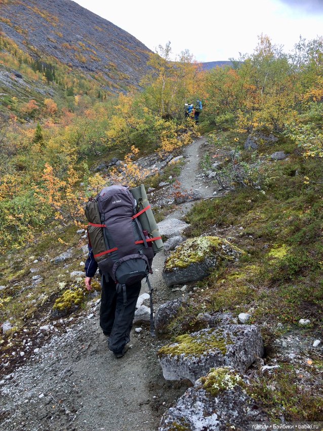 Грандиозное путешествие с Даки по Кольскому полуострову. Часть первая. Горы Хибины
