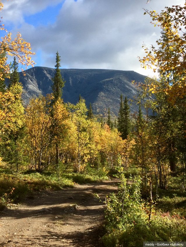 Грандиозное путешествие с Даки по Кольскому полуострову. Часть первая. Горы Хибины