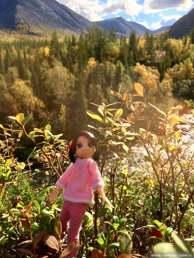 Грандиозное путешествие с Даки по Кольскому полуострову. Часть первая. Горы Хибины