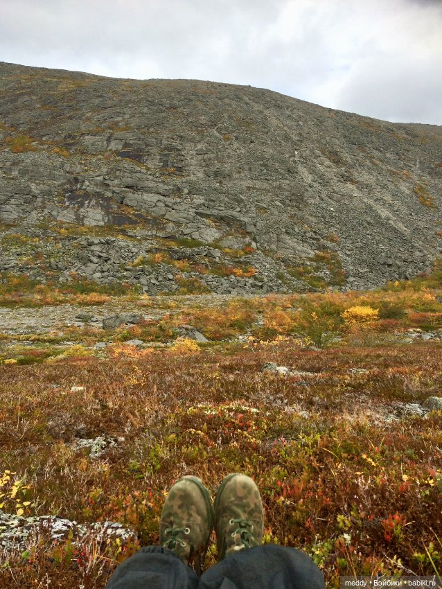 Грандиозное путешествие с Даки по Кольскому полуострову. Часть первая. Горы Хибины (фото 7)
