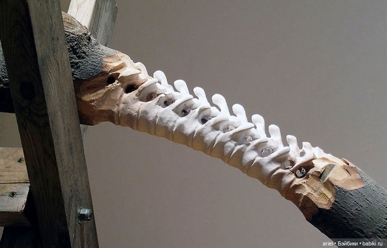 Скульптуры из дерева от канадского художника Мэскула Лассера (Maskull Lasserre) (фото 6)