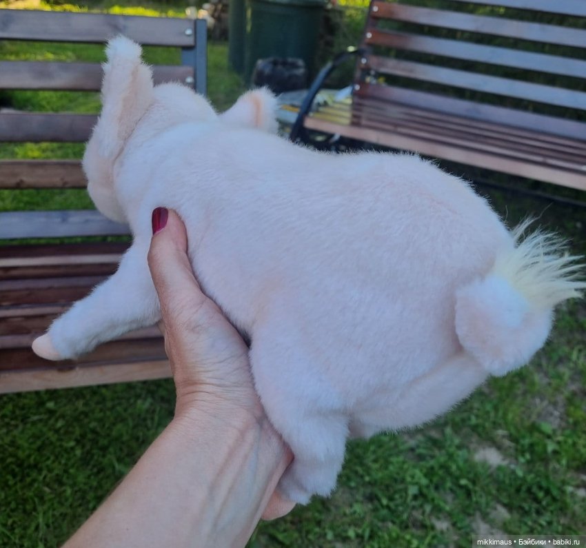 Привязались вы со своим поросенком