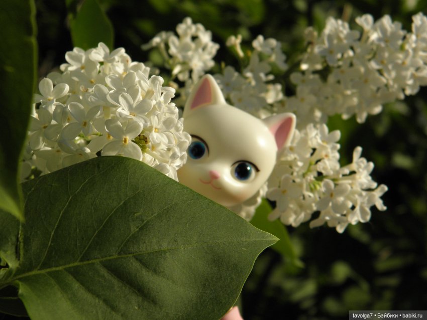 "Встреча котичек" — Азиатские виниловые куклы (разное): Китай