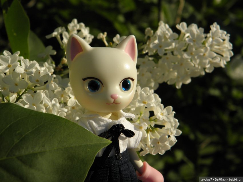 "Встреча котичек" — Азиатские виниловые куклы (разное): Китай (фото 4)