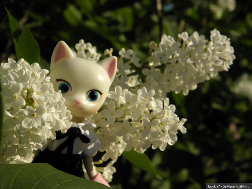 "Встреча котичек" — Азиатские виниловые куклы (разное): Китай (фото 2)