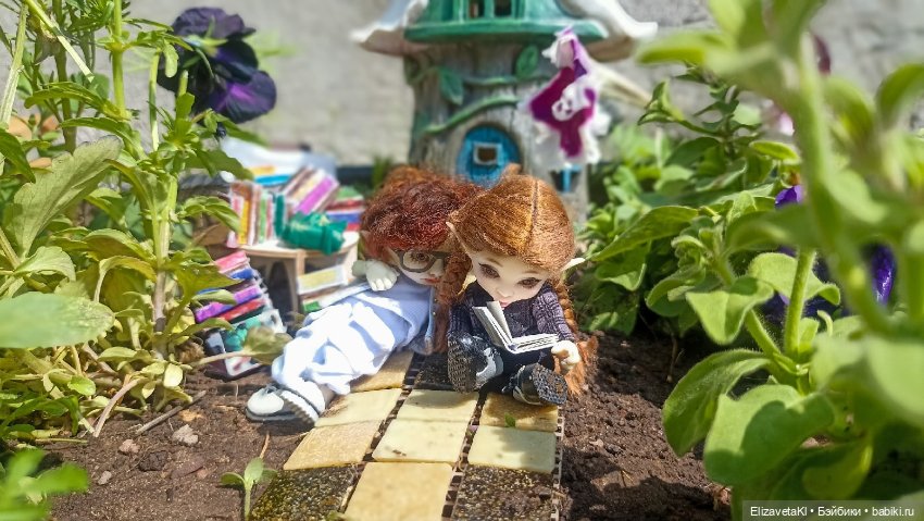 Буся, читает. Realpuki. 164