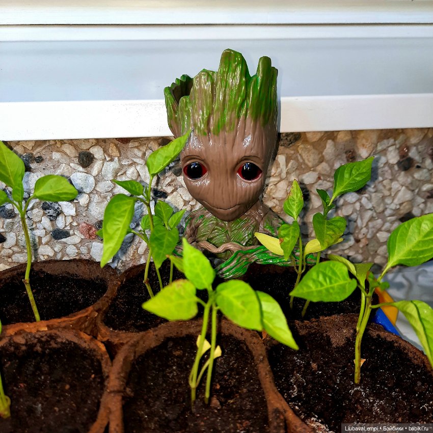 С приветом. Буратино — Разные шарнирные куклы (не БЖД): редкие (фото 5)