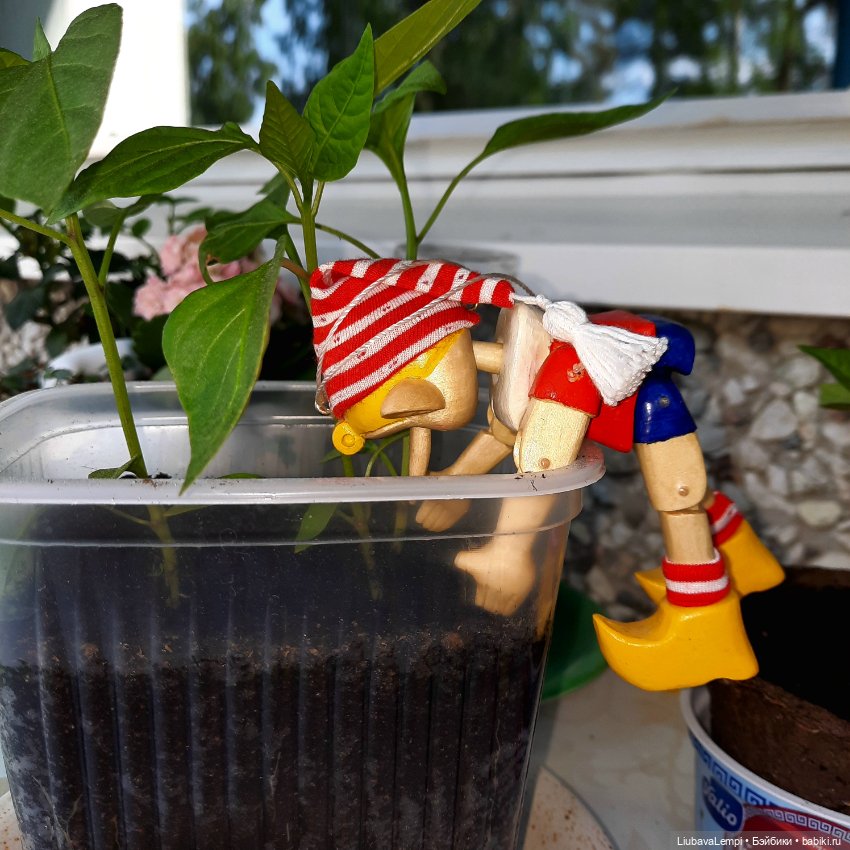 С приветом. Буратино — Разные шарнирные куклы (не БЖД): редкие (фото 4)