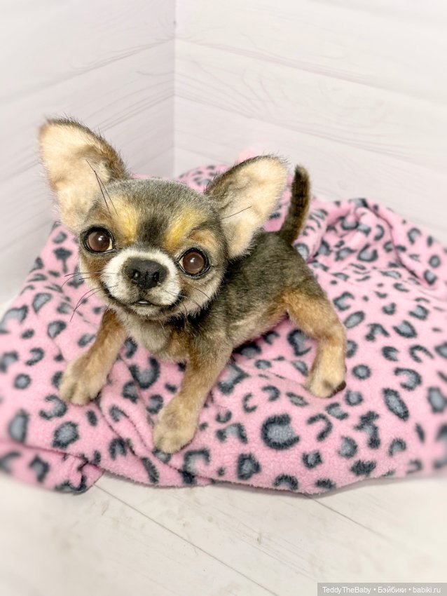 Фея 🐾🐶17 см — Реалистичные игрушки и звери (Натюр): собаки
