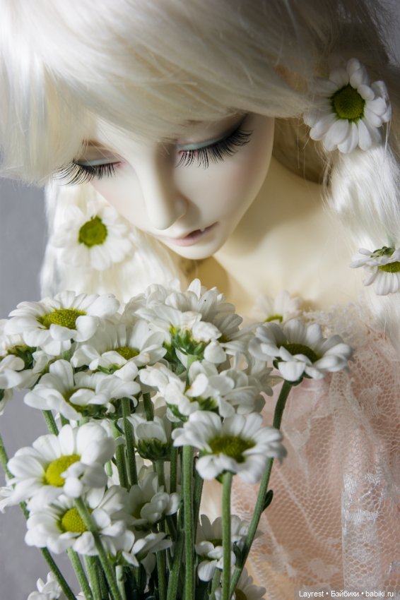 Ромашки — Куклы Soom (Сум): BJD (БЖД)