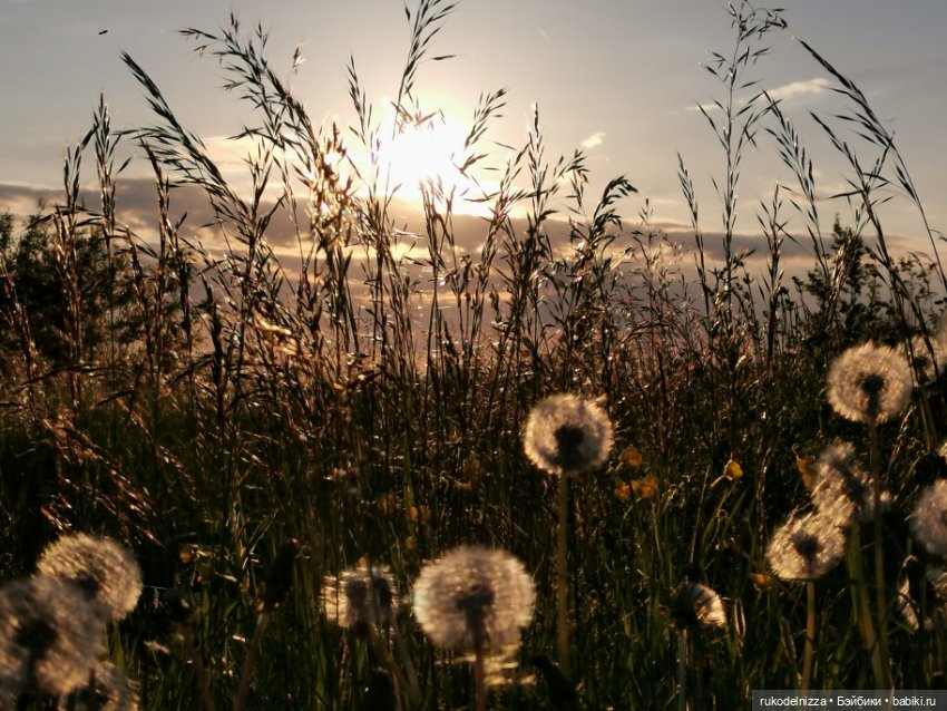Чудики на пляже. Кадры летнего отдыха