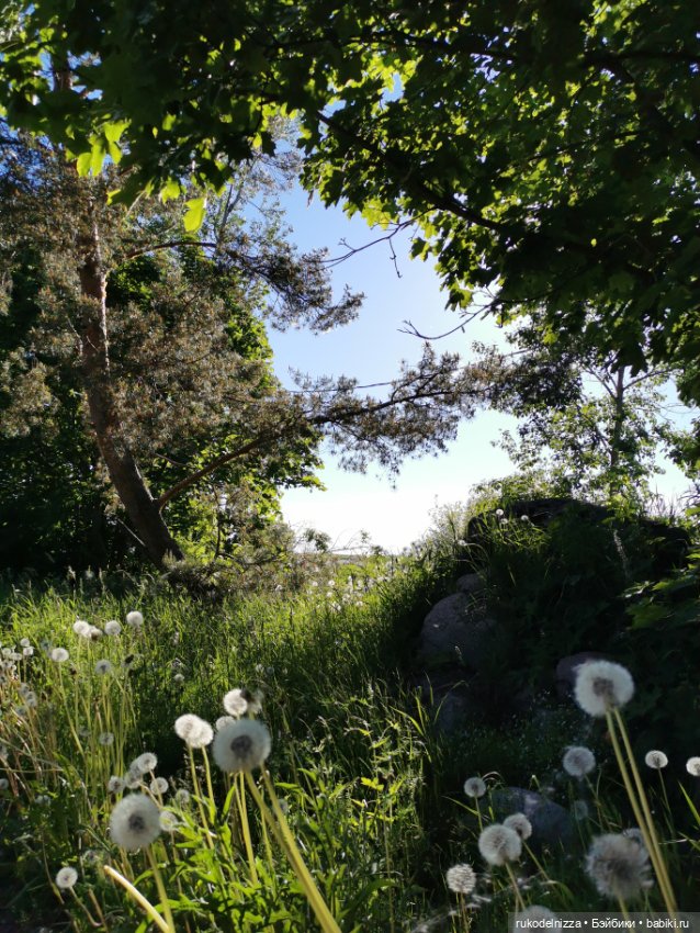 Чудики на пляже. Кадры летнего отдыха