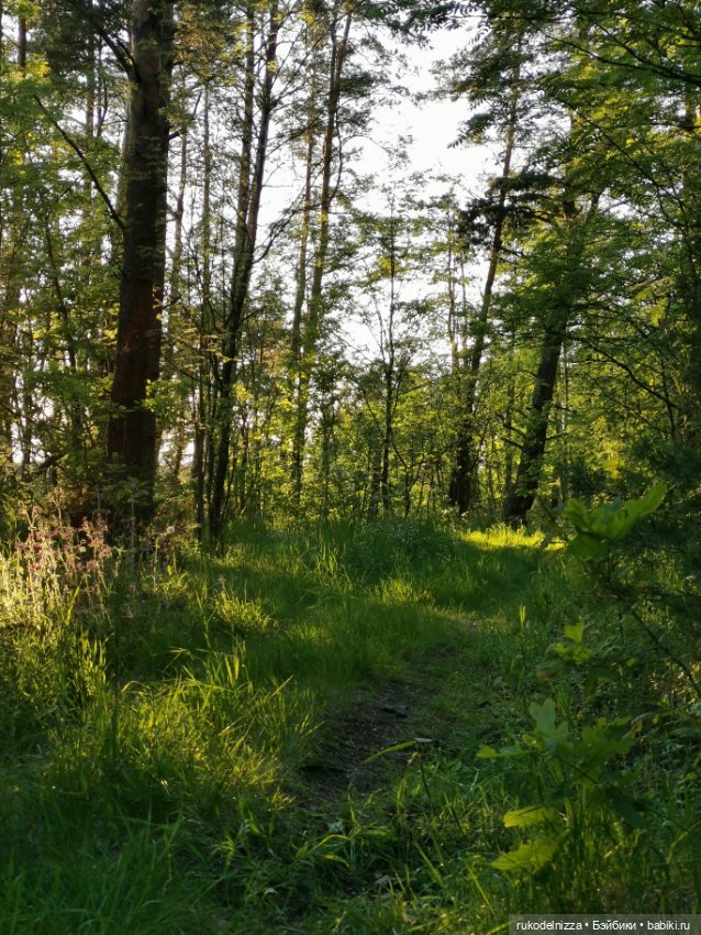 Чудики на пляже. Кадры летнего отдыха