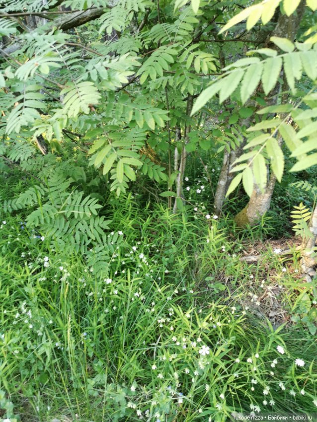 Чудики на пляже. Кадры летнего отдыха