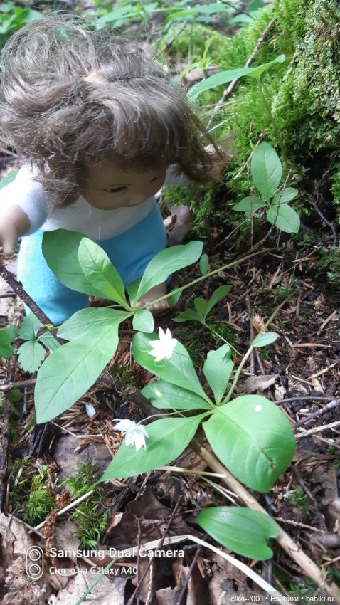 Антошка — Игровые куклы разных производителей (Разное): редкие бренды