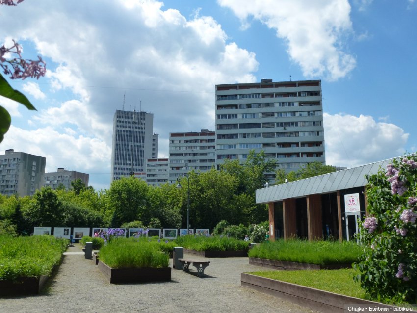 Сиреневая нежность - Сиреневый сад (Москва)