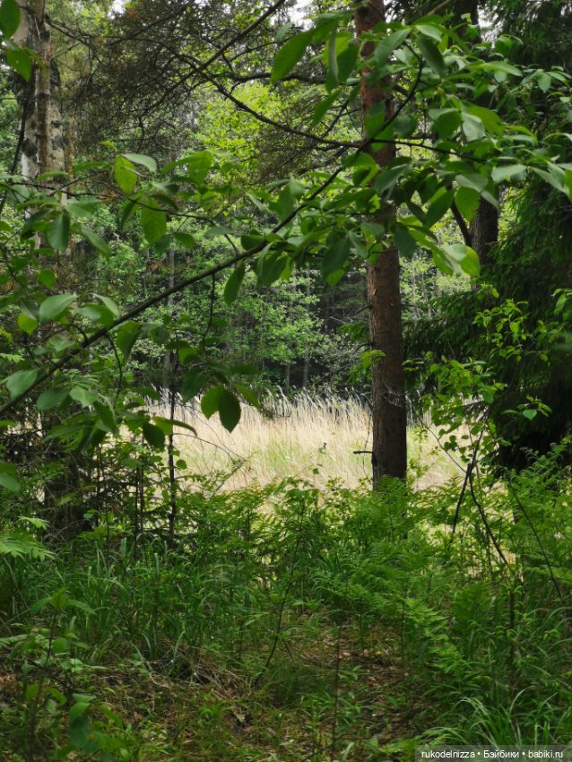 Чудики на пляже. Кадры летнего отдыха