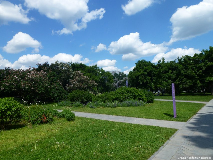 Сиреневая нежность - Сиреневый сад (Москва) (фото 9)