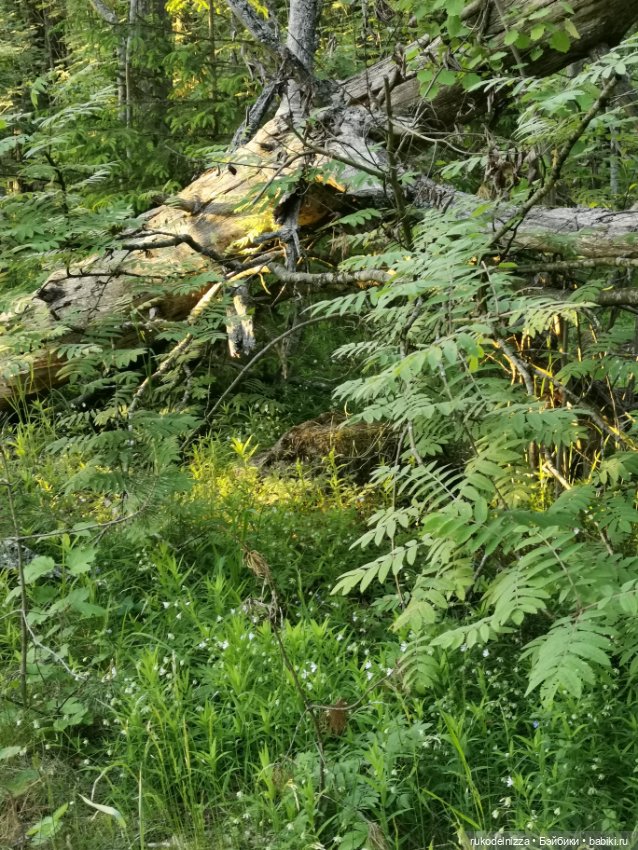 Чудики на пляже. Кадры летнего отдыха