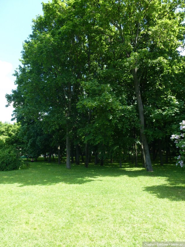 Сиреневая нежность - Сиреневый сад (Москва) (фото 8)