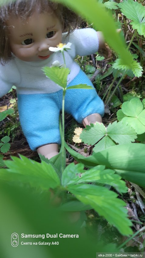 Антошка — Игровые куклы разных производителей (Разное): редкие бренды (фото 9)