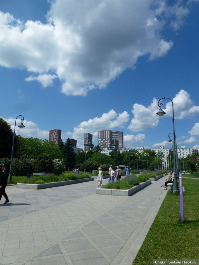 Сиреневая нежность - Сиреневый сад (Москва)