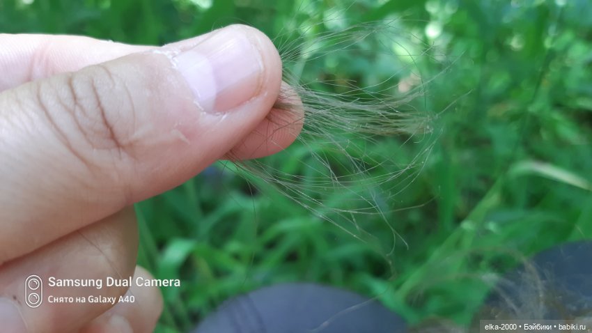 Антошка — Игровые куклы разных производителей (Разное): редкие бренды