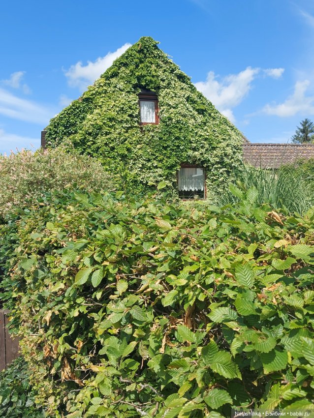 Fashion Dolls 383 — Туризм и путешествия: фотоотчеты из поездок