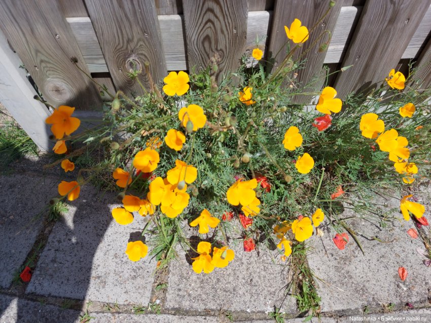 Fashion Dolls 383 — Туризм и путешествия: фотоотчеты из поездок