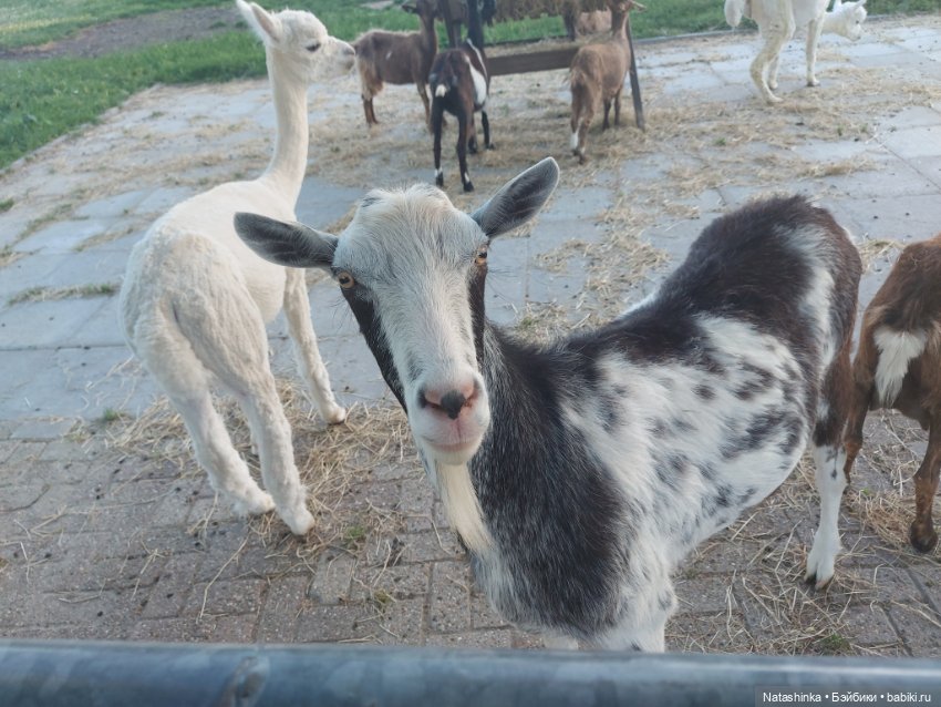 Fashion Dolls 383 — Туризм и путешествия: фотоотчеты из поездок