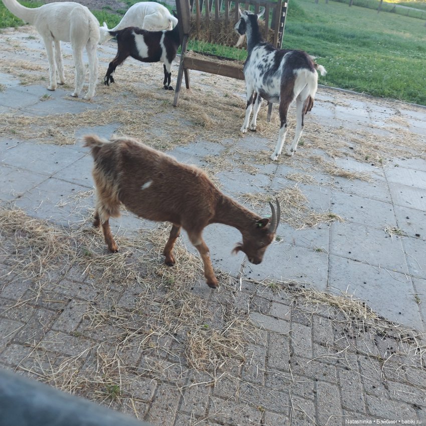 Fashion Dolls 383 — Туризм и путешествия: фотоотчеты из поездок