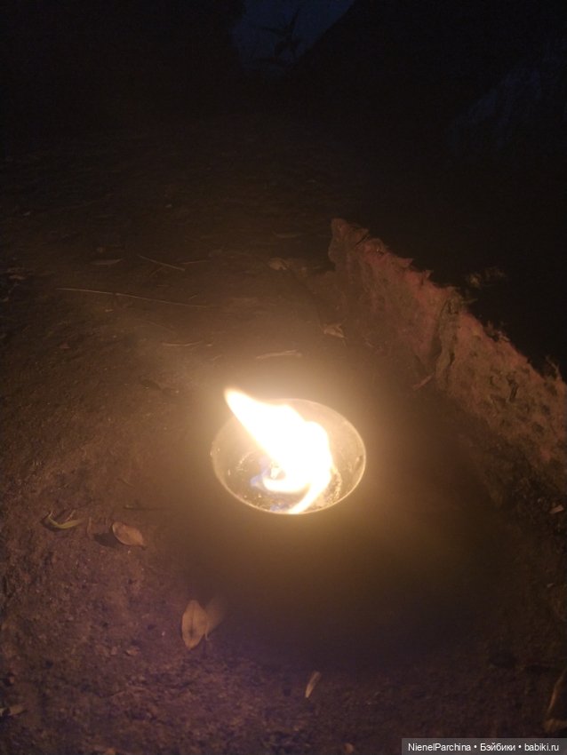 Начало дружбы. Девочка и пёс.часть 2