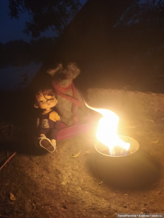 Начало дружбы. Девочка и пёс.часть 2