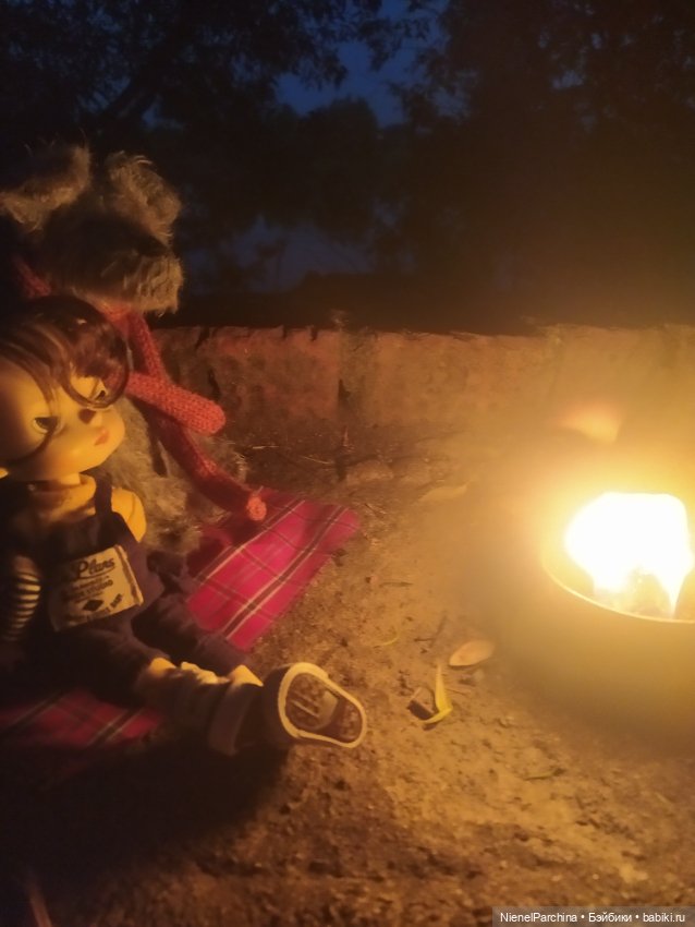 Начало дружбы. Девочка и пёс.часть 2