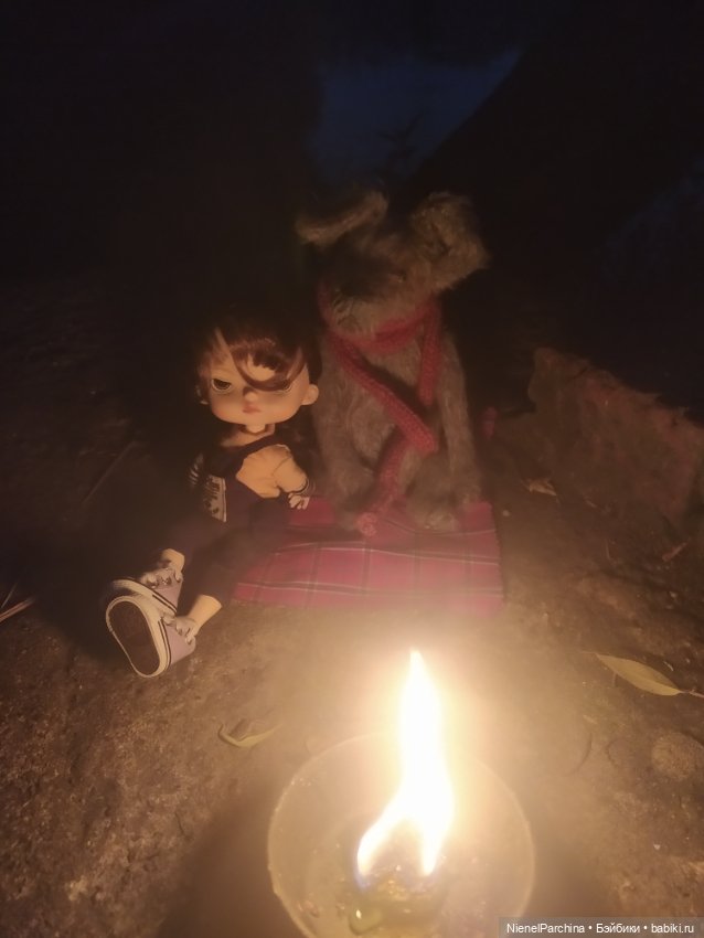 Начало дружбы. Девочка и пёс.часть 2