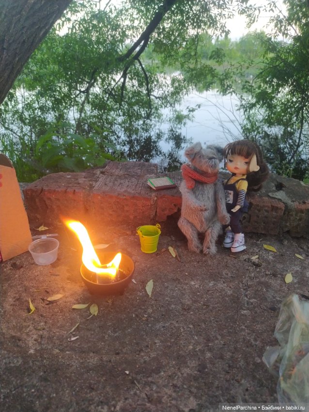 Начало дружбы. Девочка и пёс.часть 2