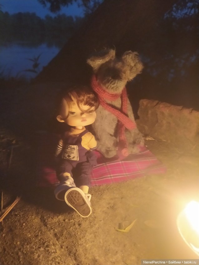 Начало дружбы. Девочка и пёс.часть 2