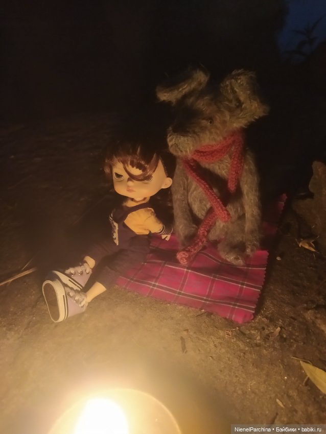 Начало дружбы. Девочка и пёс.часть 2