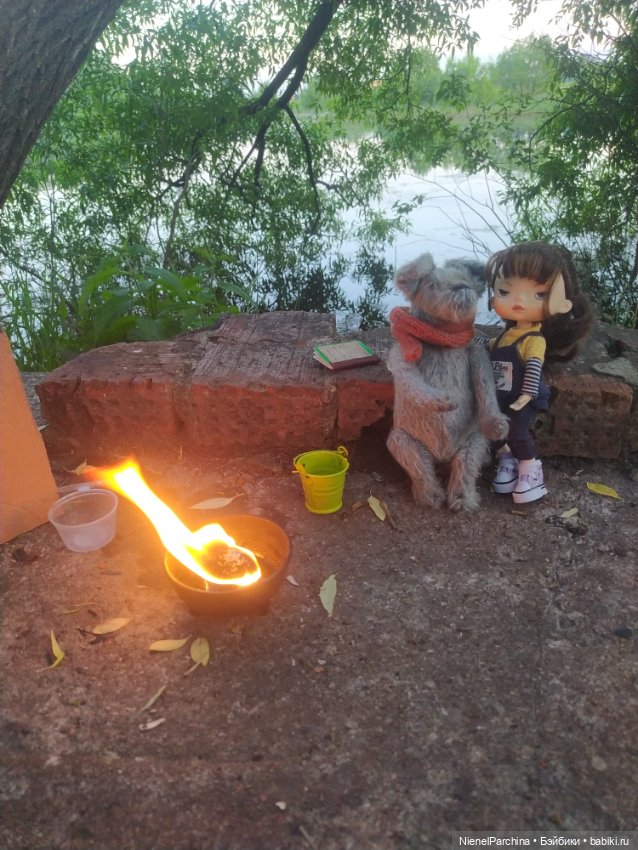 Начало дружбы. Девочка и пёс.часть 2